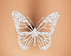 Butterfly Belly