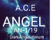 ANGEL   ACE 19