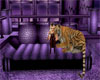Purple  Black Tiger Sofa