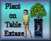 [my]Extase Table / Plant