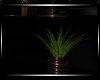 *Devotion Planter