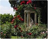 8 Rose Gardens