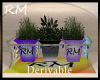 [RM] Derivable plant