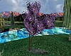Purple Sakura Tree