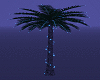 B Light Palm Tree ~𝕬