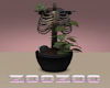 Z Skeleton plant