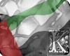 UAE flag (m/f)