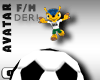 DER! Soccer Ball Avi F/M