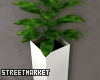 Minimalist Plant