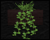 Rustic Planter ~