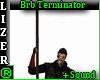 Brb Terminator + Sound