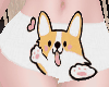 Corgi Panty White