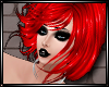 ~K~ Avis Red Pvc