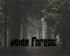 DOME Forest
