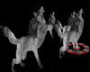 howling wolves 1