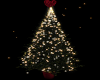 !C! ROYAL CHRISTMAS TREE