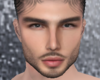 Hudson Head V2
