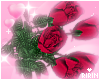 Bouquet Roses