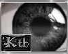 Kth Gray Basic Eye