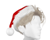 SantaHat