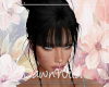 Zari Raven Bangs