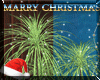 (LR)::Christmas::Plant