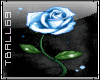 Blue Rose animated