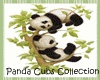 Panda Cubs Dresser