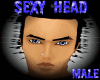 [RC]SEXY HEAD MALE