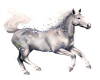 sticker horse