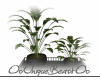 ~AR~ Club-Plant
