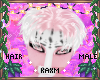 ꨄBlossom Hairꨄ