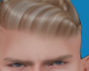 Blonde Camal  Hair