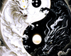 [LP] B/W Dragon Cutout03
