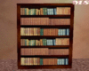 Majestic Bookcase {MS}