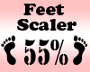 Feet Scaler 55%