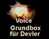 H2 Voice Grundbox