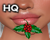 Mistletoe