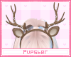 headband | p/g