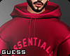 Essential Hoodie IV