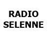 T-Shirt R. Selenne