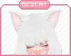 O: Cat Ears Snow