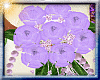 *lavender roses bouquet