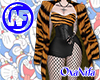 Tiger Coat FullSet