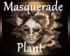 [BD] Masquerade Plant