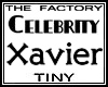 TF Xavier Avatar Tiny