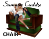 *T* Summer Cuddle Chair