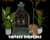 *Vintage Birdcase