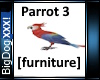 [BD] Parrot 3