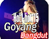 J*Sexy dangdut